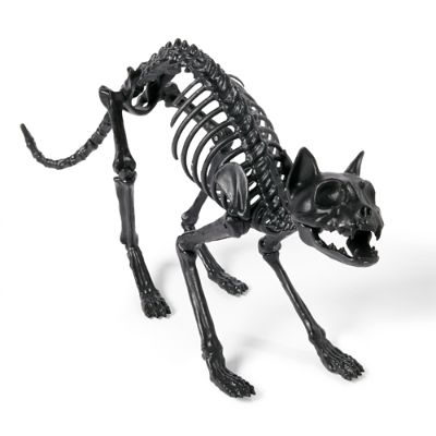 Black Skeleton Cat