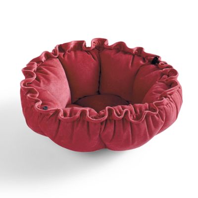 Buttercup Pet Bed Grandin Road