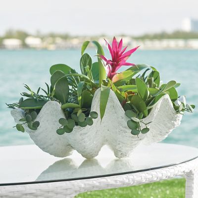Seashell Outdoor Planter Grandin Road