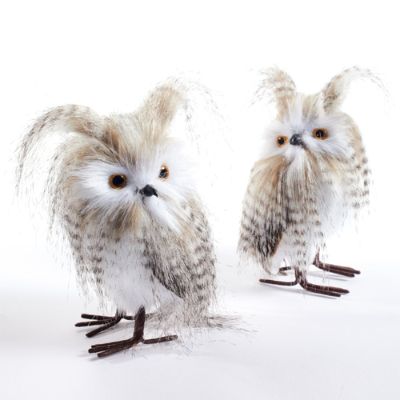 Set of Two Large Longeared Owls