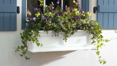 Devon Selfwatering Window Box Grandin Road