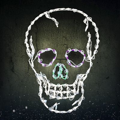 Pre-Lit LED Skull