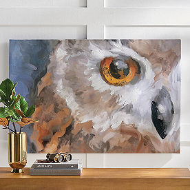One Eye Night Owl Wall Art