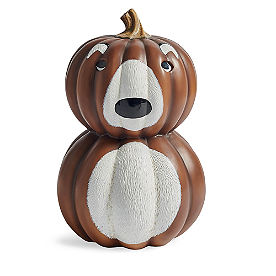 Woodland Pumpkin, Bear