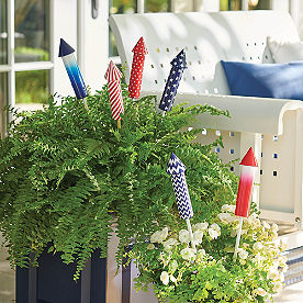 Firework Plant Stakes, Set of Six