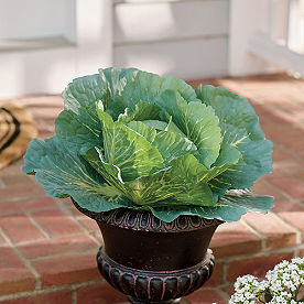 Oversized Cabbage Urn Filler