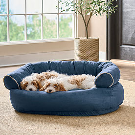Sofa Dog Bed