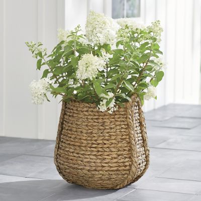 Carved Woven Planter