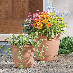 Terracotta Pot Planter