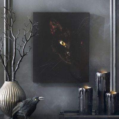 Creepy Cat Canvas
