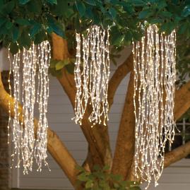 Weeping Willow Lights