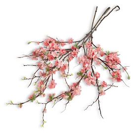 Quince Blossom Branch, Set of Three