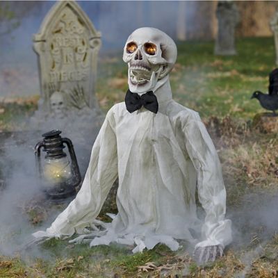 Animated Groundbreaker Skeleton, Harry