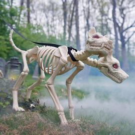 Animated Two Headed Skeleton Dog