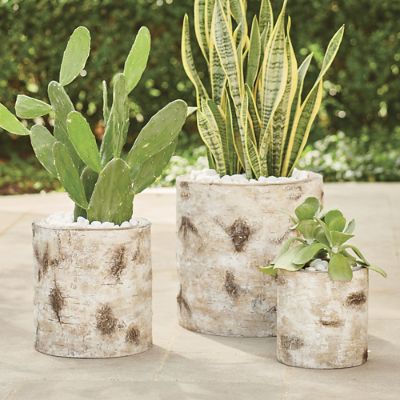 Faux Bois Planter, Paper Birch