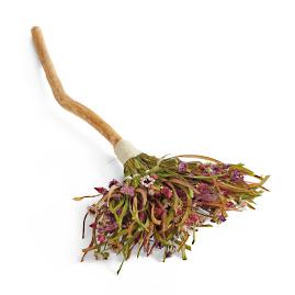 Dried Floral Broom