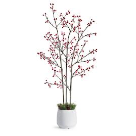 Red Berry Potted Plant