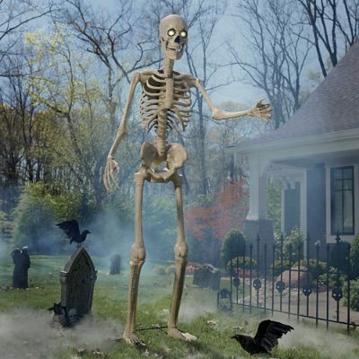 Animated Two Headed Skeleton Dog | Grandin Road
