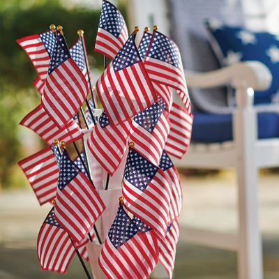 Set of 25 Parade Flags