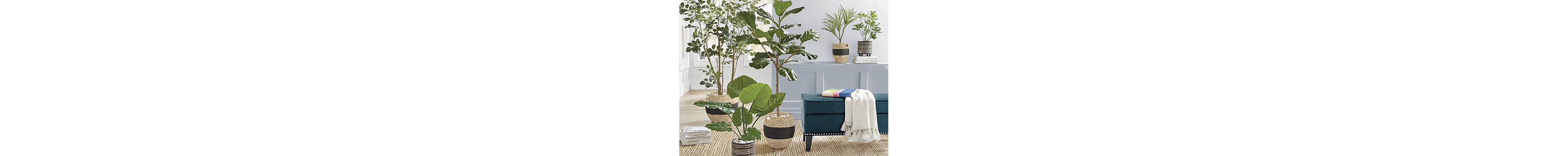 How to Use Artificial Plants Indoors - Grandin Road Blog