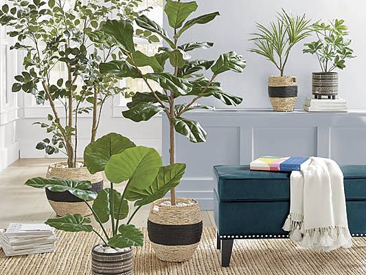 How To Use Artificial Plants Indoors Grandin Road Blog