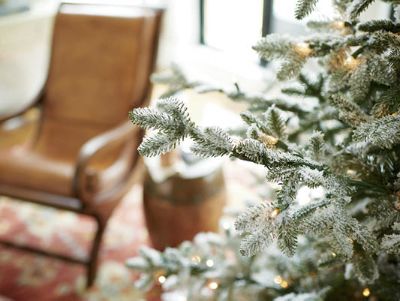 Mini lights on a Christmas tree