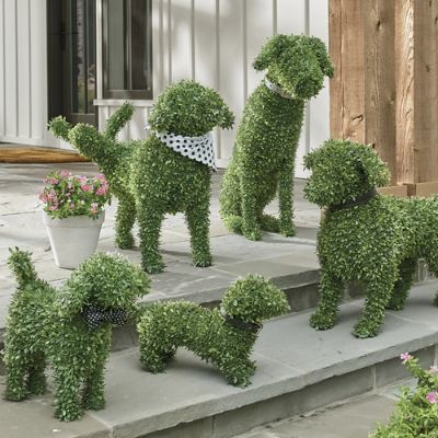 Faux Boxwood Garden Dogs Grandin Road