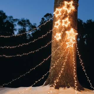 Christmas Decorations &amp; Unique Holiday Decor | Grandin Road